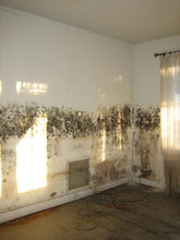 Load image into Gallery viewer, Gut Test - MycoTOX Panel (Mould/Mold) E8400
