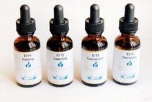 Load image into Gallery viewer, Limitless Brain Performance Set NES Feel Good Infoceuticals - Breathe360