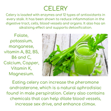 Load image into Gallery viewer, A-Z Pocket Guide of Food (digital download) - Breathe360