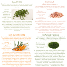 Load image into Gallery viewer, A-Z Pocket Guide of Food (digital download) - Breathe360