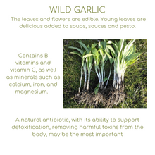 Load image into Gallery viewer, A-Z Pocket Guide of Food (digital download) - Breathe360