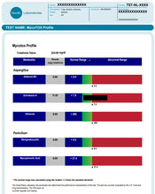 Load image into Gallery viewer, Gut Test - MycoTOX (Mold/Mould) Profile