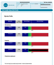 Load image into Gallery viewer, Gut Test - MycoTOX (Mold/Mould) Profile
