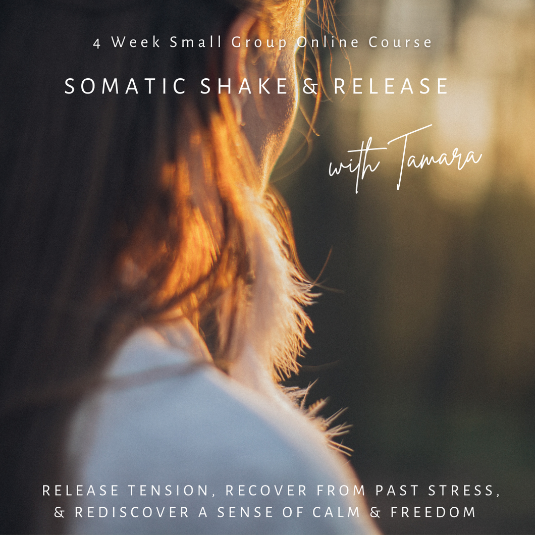 4 Week Online 1:1 Course - Somatic Shake & Release