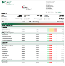Load image into Gallery viewer, Gut Test - Parasites, Worms &amp; Microsporidia Panel
