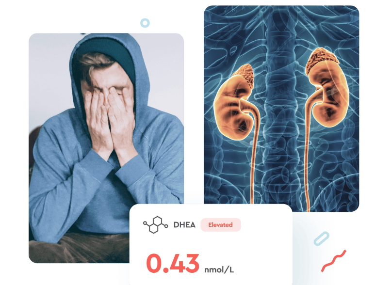 Adrenal Fatigue Test (Cortisol & DHEA)