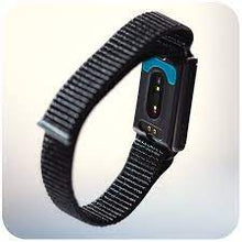 Load image into Gallery viewer, E4L GEM – Cutting-Edge Wearable for Sleep Quality, Energy Balance &amp; Emotional Health
