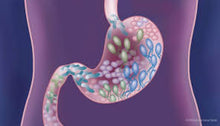 Load image into Gallery viewer, Gut Test - Ultimate Health - Test Don&#39;t Guess

