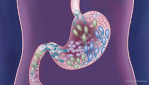 Gut Test - Ultimate Health - Test Don't Guess