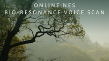 Load image into Gallery viewer, NES Health Online Voice Scan: Unlock Your Optimal Wellbeing
