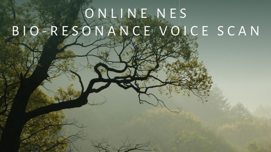 NES Health Online Voice Scan: Unlock Your Optimal Wellbeing