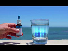 Load and play video in Gallery viewer, Bioenergetic Voice Scanning | Discover Your Body's Health Priorities in Seconds
