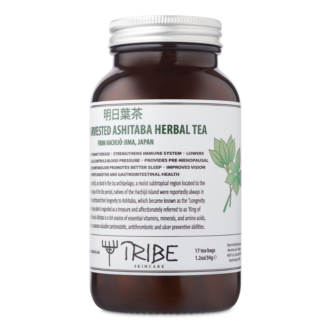 Tribe Wild Harvested Ashitaba Herbal Tea | Breathe360 – Heal Wellbeing