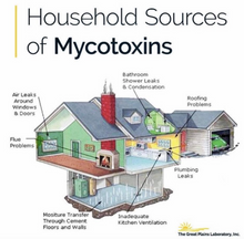 Load image into Gallery viewer, Gut Test - MycoTOX Panel (Mould/Mold) E8400
