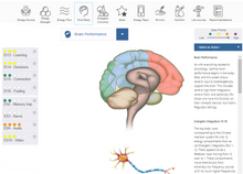 Load image into Gallery viewer, NES Health Online Voice Scan: Unlock Your Optimal Wellbeing
