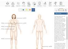 Load image into Gallery viewer, NES Health Online Voice Scan: Unlock Your Optimal Wellbeing
